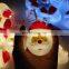 Top Sale Cute Garden Snow Fall New Holiday Outdoor Mini Decoration LED String Light Christmas