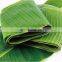 Banana Leaf BEST quality WHOLESALE PRICE From VIETNAM