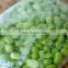 Sinocharm Frozen vegetable Premium variety Organic IQF Soybean Kernels Frozen Shelled Edamame
