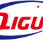 Hebei Qiguo Bicycle Co.,ltd