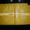 Malaysia Vietnam Sri Lanka kraft paper mango protection bag