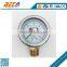 custom available 1/2" NPT 0-6 bar double pointer pressure gauge