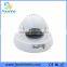 Fanshine Best Security Camera Dome Vandalproof Mini Size
