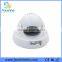 Fanshine 1/3'' Room Mini Hidden CCTV Camera, Speed Dome Camera