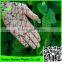 100% original HDPE raw material with UV additives Crop protection anti bird net protecao de frutas net