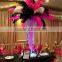 Red white black ostrich feathers for Wedding decoration