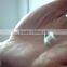 Specializing in nail cable clips/nail cable clamps 5mm