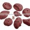 Mixed Rock Climbing Training Holds (8 pcs Pack)