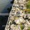 Gabion box fencing in iron wire mesh