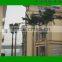 Artificial King Coconut Tree/Artificial King Coco Tree