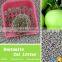 Best Clean And Cheap 12l Eco-friendly Oem or Odm Cat Litter