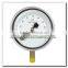 High Quality 6 Inch Stainless Steel Brass Internal Master Gauge for Testing Pressure