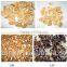 Factory Price Bulk Walnut in Think Shell