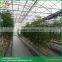 substrates hydroponic greenhouse for tomato cucumbers peppers lettuce