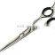 Beauty Hair Salon Scissors Set,Razor Edge Cutting Scissor