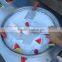 2016 Frozen yogurt fruit instant ice cream rolls machine with real fruits in Thailand