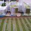 school master plan design building model making