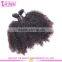 100% Virgin Brazilian Afro Kinky Hair Extensions Grade 7a Brazilian Afro Human Hair