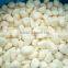 Dried Garlic Granule