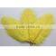 High-quality ostrich feathers 6-8 inch 15-20 cm wedding decoration