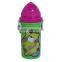 500ML water bottle with straw