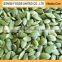 Chinese Hot Sale Different Types of Seeds
