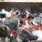 HARDWOOD CHARCOAL FOR BBQ ORIGIN EGYPT
