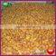 Frozen Roasted Chestnuts Kernels
