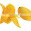 GMP Natural High Quality Mango fruit Powder/Mango Extract Powder