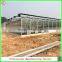 China Venlo polycarbonate sheet greenhouse with vegetable seeds