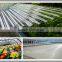 uv coated pc polycarbonate corrugated sun sheet