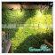 new products vertical garden system green wall