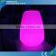 Theme Party Decorations Remote Control LED Christmas Yard Decorations