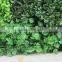 fake plants green wall,artificial green wall wholesale manufacture