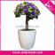 Artificial Potted Plant Plastic Table Small Plant Pots Artificial Grass Ball Tree / Bonsai Tree
