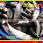 FROZEN MARUADSI WHOLE ROUND (ROUND SCAD)