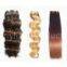 Human Hair Weft1