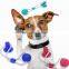 Multifunction Cleaning Teeth Safe Dog Play Pet Molar Bite Cat Suction Cup Toy with TPR Ball