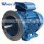 100kw brushless Three Phase Ev Electric Ac squirrel-cage Induction Motors