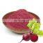 100% Natural High Quality Beetroot Powder