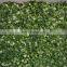Wholesale good price delicious frozen green spring onions