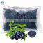 Wild Culticated IQF Frozen Organic Blueberry