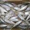 Frozen Jack Mackerel china fish