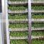 sales promotion soya Bean sprout making machine