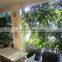 Decorative Artificial Green Bamboo,artificial Bonsai,artificial Bamboo Bonsai,artificial Plants on Sale