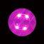 Wine Bottle Decoration Light up LED Coasters, Custom LOGO 3MM Bottle LED Sticker