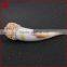 Imitation ivory Pandant Bead With Champagne Zircon
