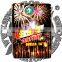 2.5" Ceremony Display Shells 16 Shots/fireworks cake/wholesale fireworks/UN0336 1.4G consumer fireworks/cheap fireworks