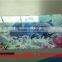 Direct printed eva foam sheet uv printer,eva printing machine