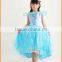 2015 girls Cinderella Princess Dress dress with a frozen Cinderella table Costume